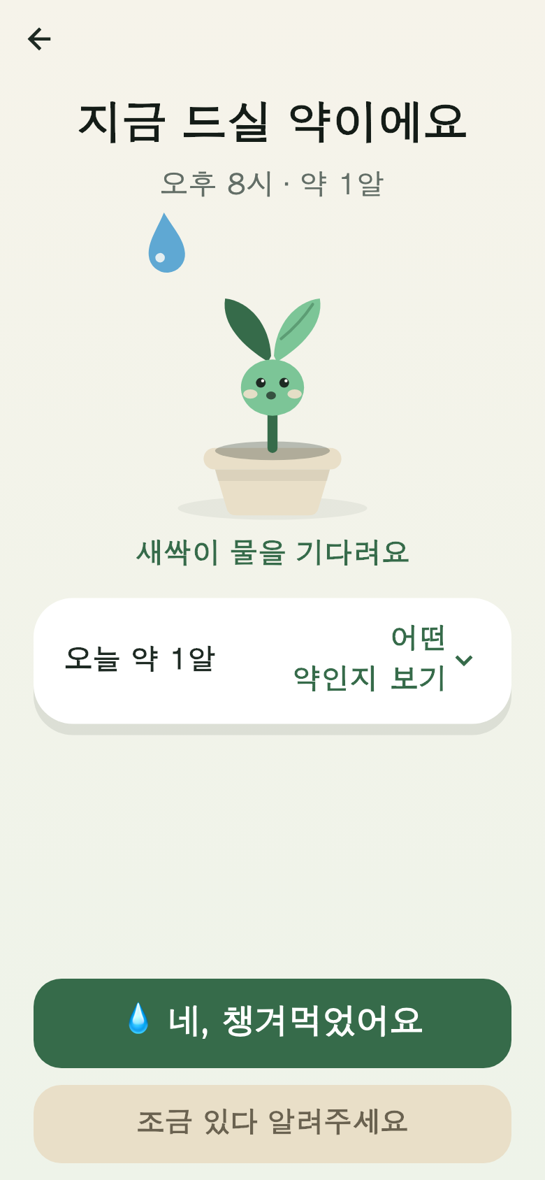 부모님 폰의 «지금 드실 약» 화면 — 버튼 하나